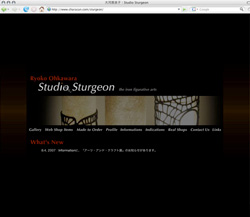 Studio Sturgeon